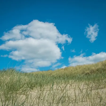 Zomerhuis Strand En Duinen *